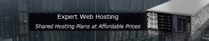 Expert Web Hosting